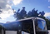 Городской автобус ПАЗ Вектор Next, 2017