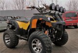 Квадроцикл Raptor Max PRO 250cc 2021