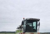 Claas Jaguar 850