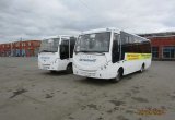 Автобус Волгабас 4298-0000010 (средний класс)