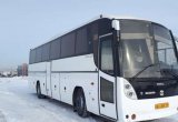 Автобус Scania голаз 52911
