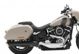 Harley-Davidson Sport Glide (2022) White Sand Pear