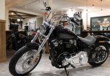 Harley-davidson softail standard, 2021