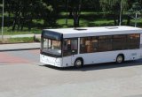 Городской низкопольный автобус маз-206