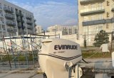 Evinrude 50