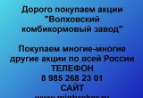 Покупаем акции «Волховский комбикормовый завод»