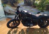 Harley-Davidson Sportster 883 2019