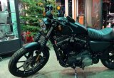 Harley-Davidson XL883N (iron)