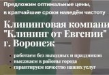 Чистота без усилий: Клининг в Воронеже от Евгении