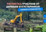 Расчистка территорий от деревьев и пней от 1 Га