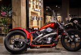 Мотоцикл Harley-Davidson Softail Custom 2007