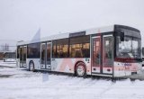 Маз 203 автобус