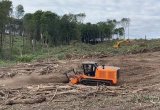 Расчистка территорий от деревьев и пней от 1 Га