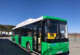 Нефаз 5299-30-51 автобус (Daimler Евро5)