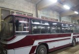 Автобус ikarus-260