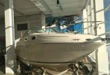 Sea Ray 240