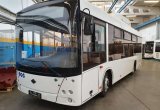 Городской автобус Лотос 206 метан новые