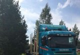 Тягач-лесовоз Scania R560