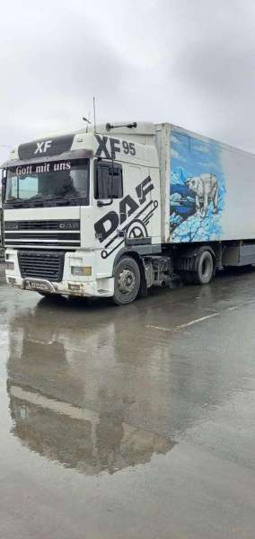 Дафь сцепка 2000 год реф