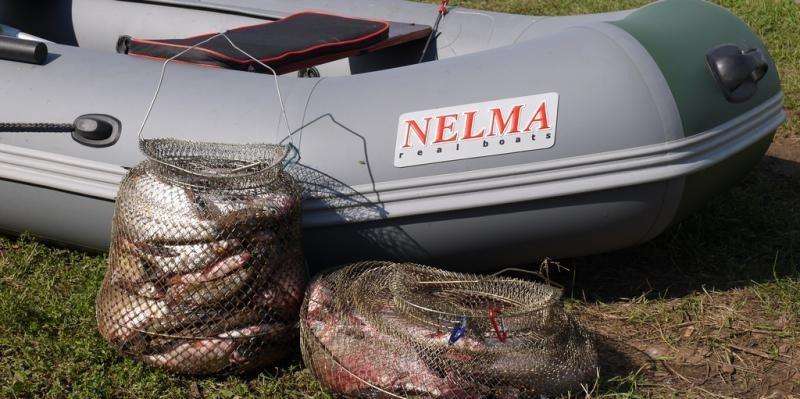 Лодка пвх "Нельма" NL-290