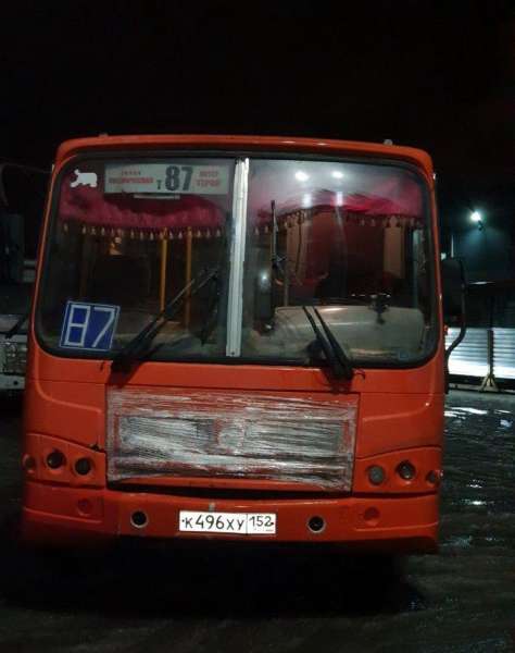 Паз 3204