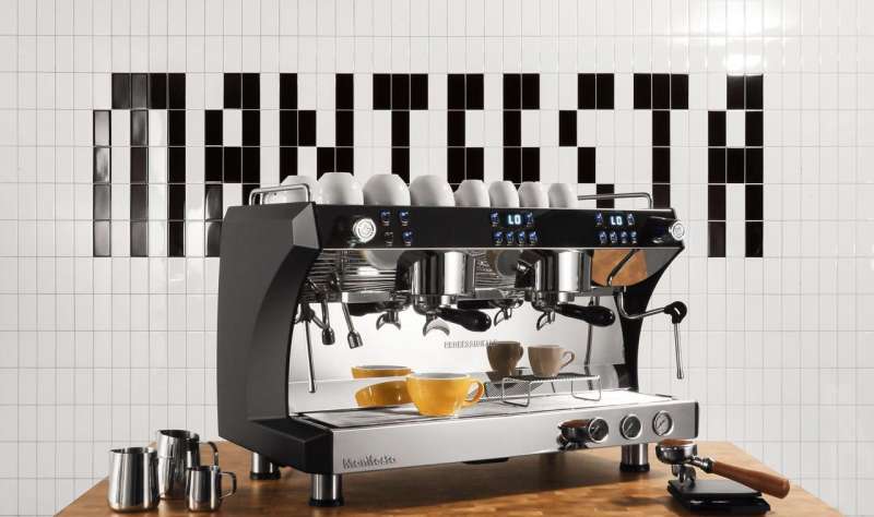 Manifesta Professionale 2 GrV (New)