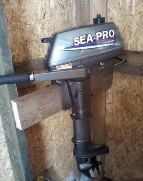 Мотор sea pro t3s