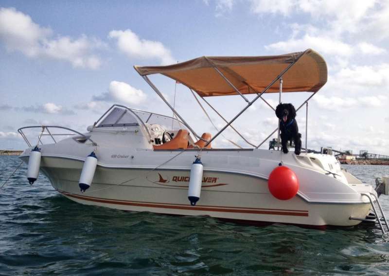 Катер Quicksilver 650 Cruiser