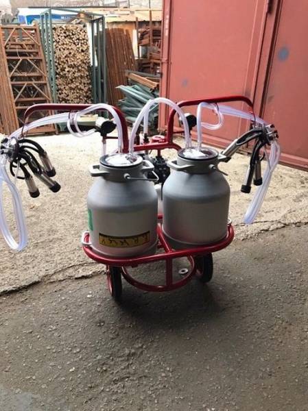 Доильный аппарат на 2-е коровы (Турция)