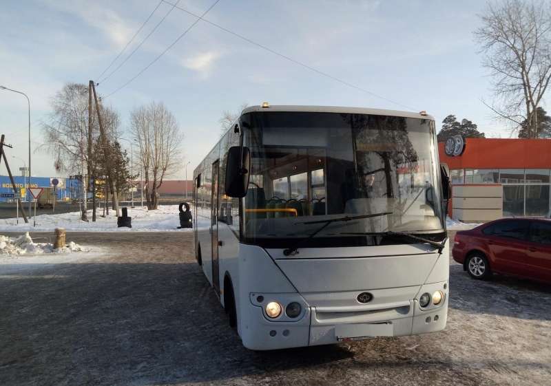 Hyundai Богдан а-20111