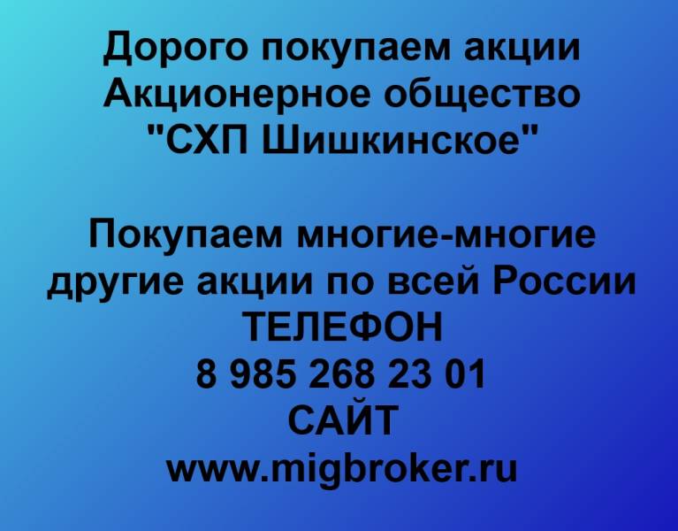 Покупаем акции «СХП Шишкинское»