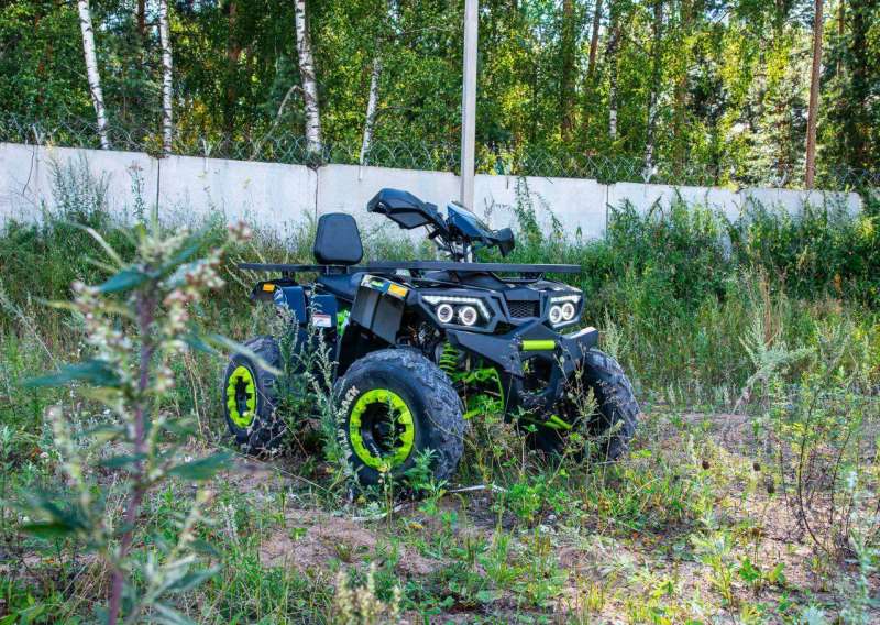Квадроцикл Motoland Wild Track 200