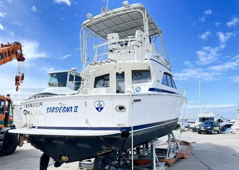 Катер bertram convertible 36 от маrinzip