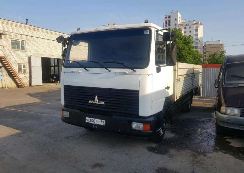 Продам маз зубренок 2012 г. 437143-328