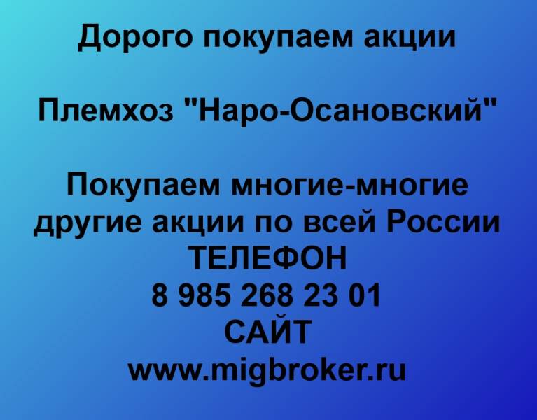 Покупаем акции «Племхоз Наро-Осановский»