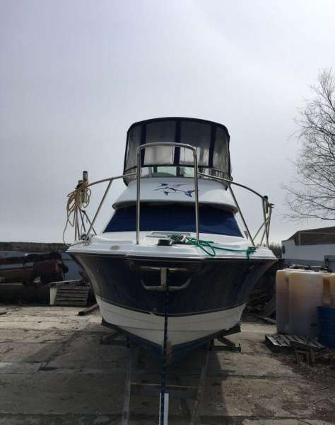 Bayliner288