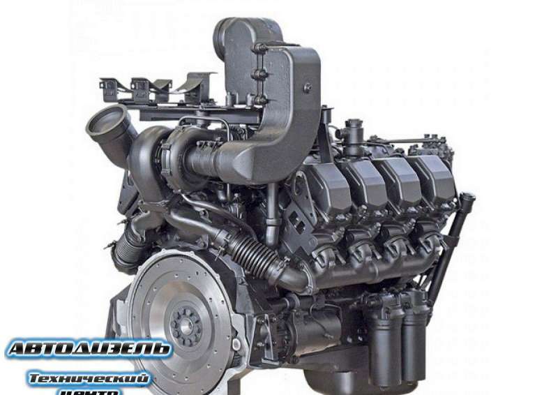 Двигатель тмз 8481 (15)