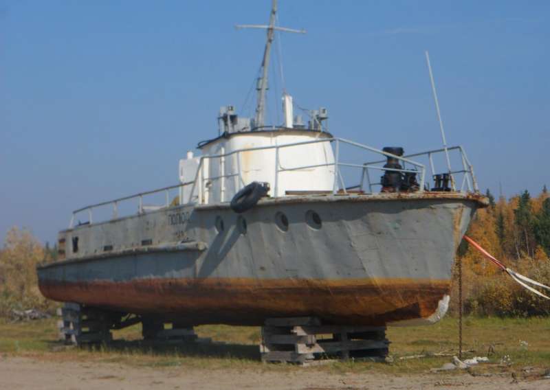 Костромич Т-63