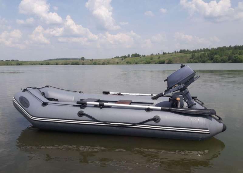 Мотор sea pro t3s