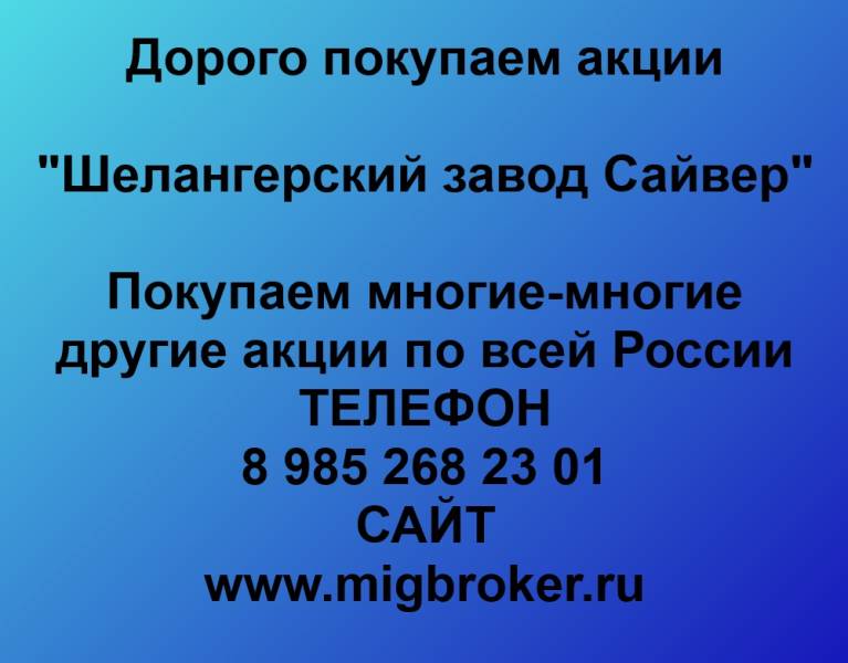 Покупаем акции «Шелангерский химзавод Сайвер»