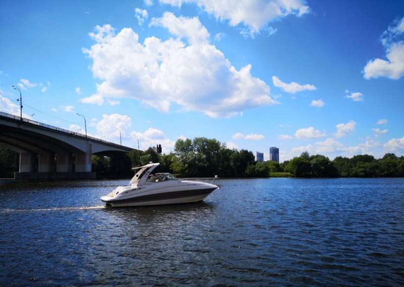 Моторная яхта Cruisers Yachts 300CXi