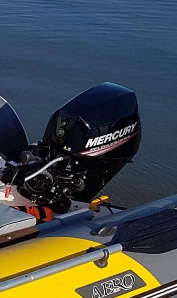 Лодочный мотор Mercury F10 MH EFI раздушен в 20