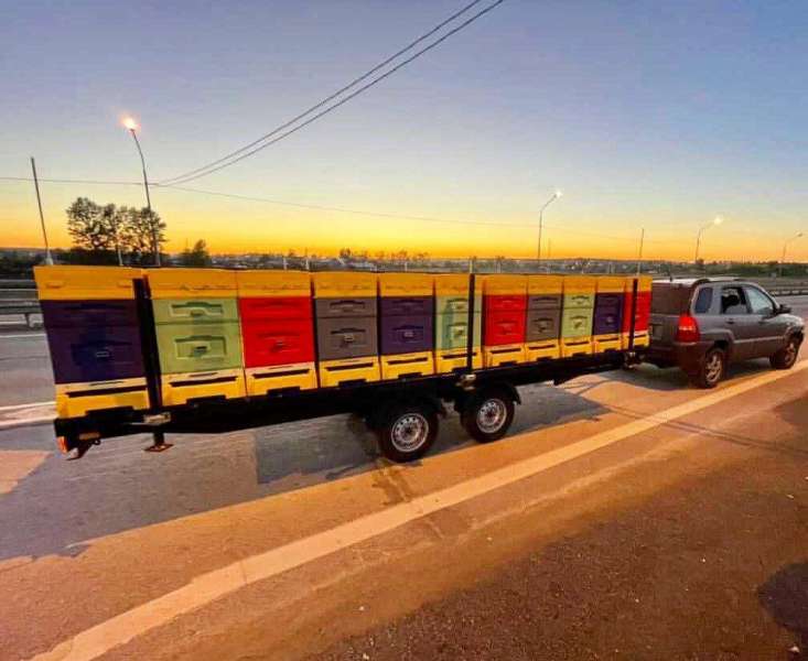 Прицеп пчеловоз, 2021