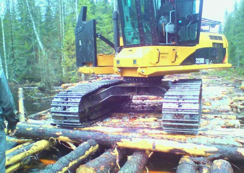 Cat 320 DFM + Ponsse Buffalo