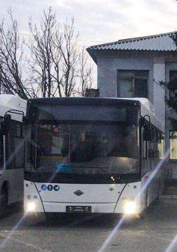 Автобус Лотос 206