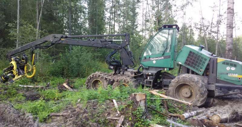 Харвестер Timberjack 1270