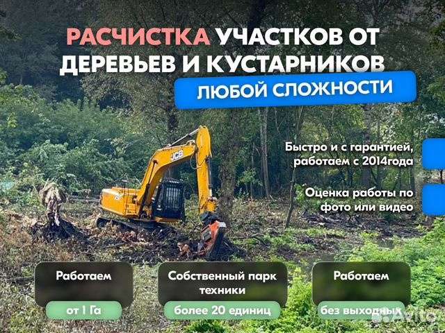 Расчистка территорий от деревьев пней от 1 Га