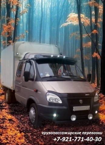 Грузопассажирские перевозки, газель фермер