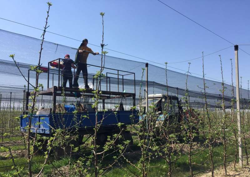 Прицеп тракторный 2птс-4,5, мод8549