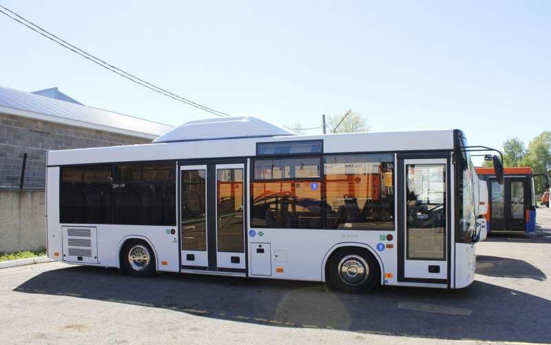 Автобус lotos 206